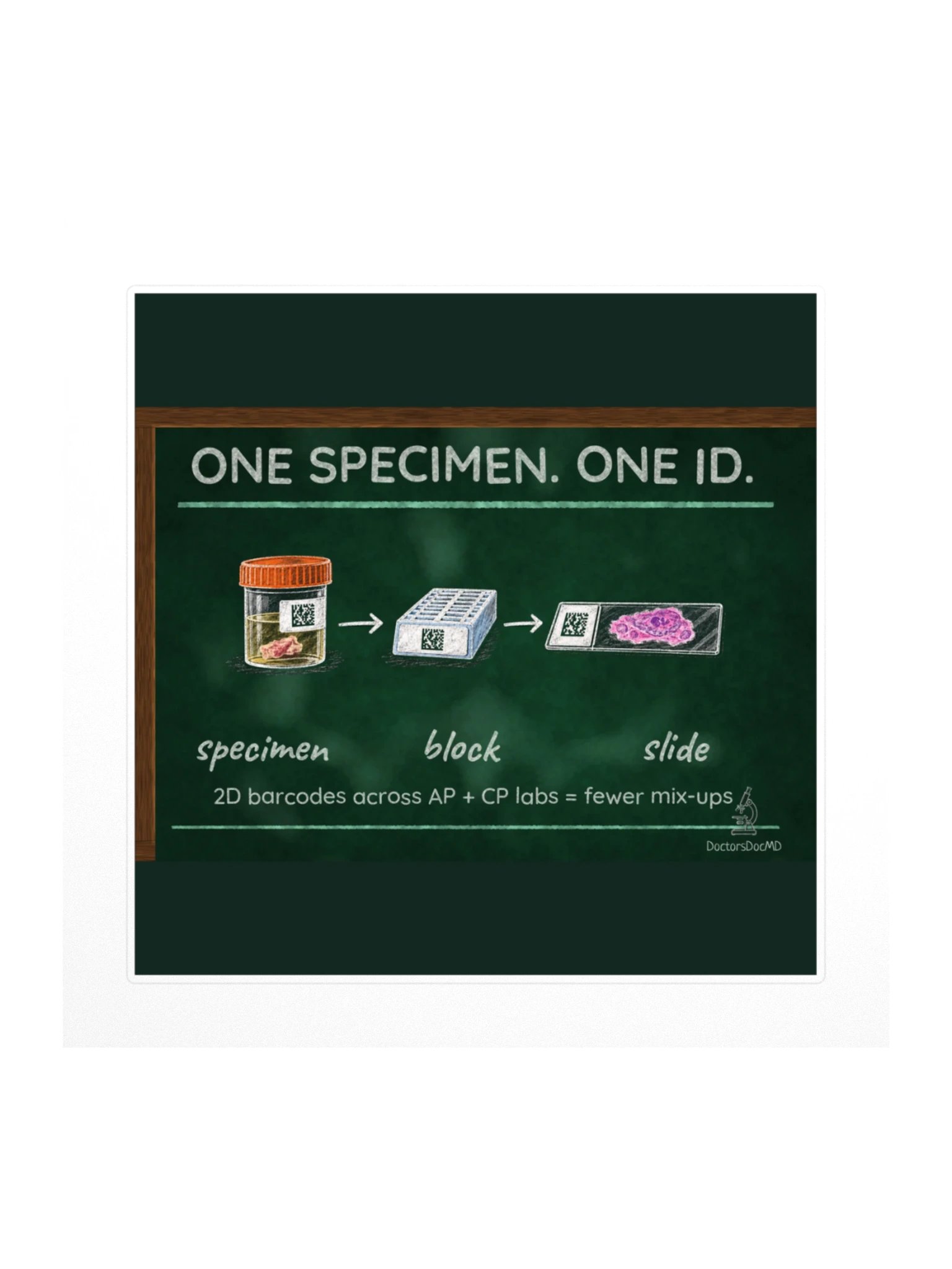 DoctorsDocMD - One Specimen. One ID. Sticker product image (1)