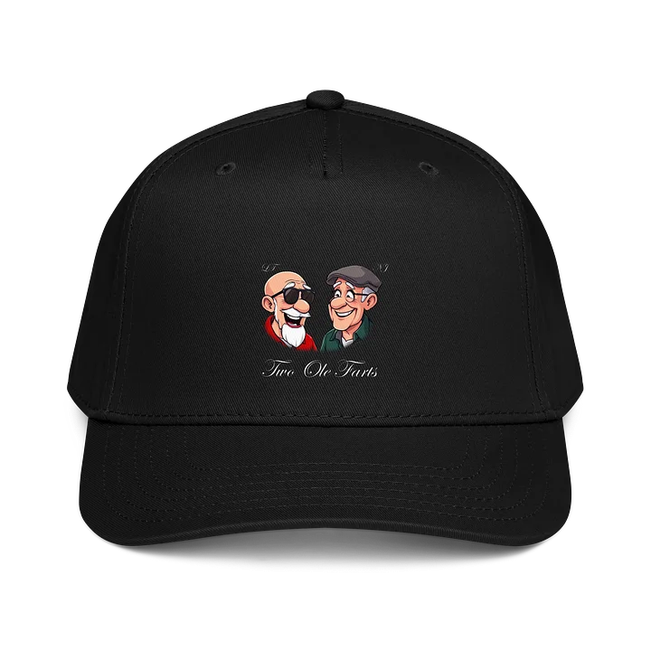 Two Ole Farts Otto Hat product image (1)