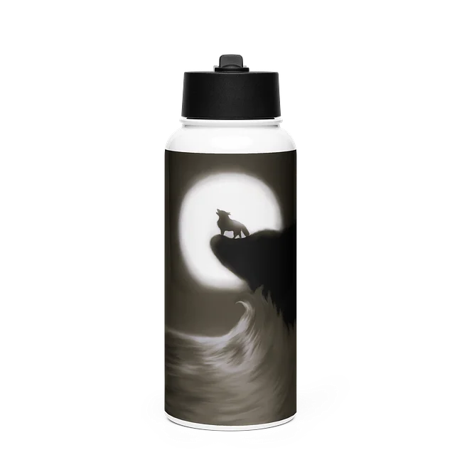 Stainless Steel Water Bottle with a Straw Lid - view all designs