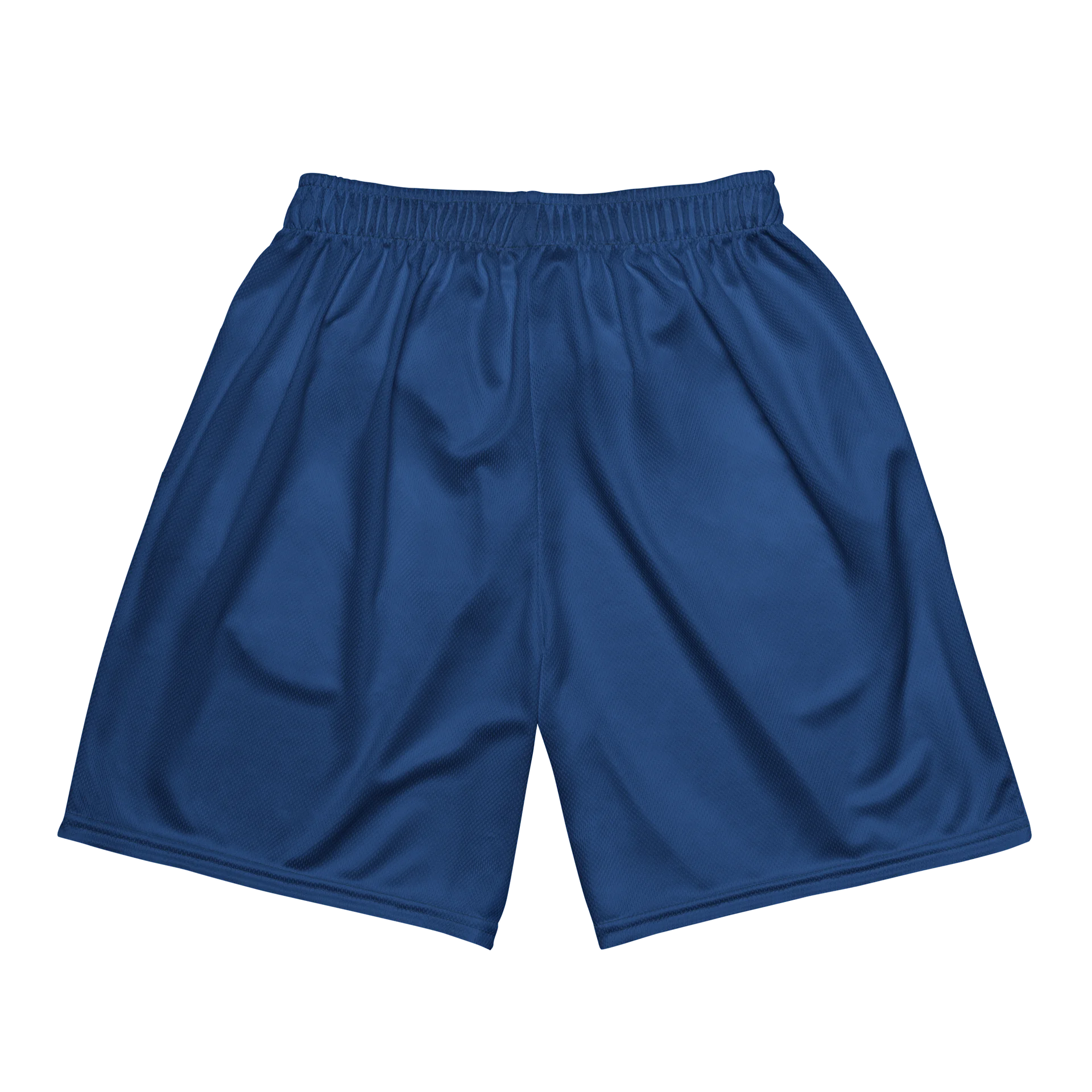 Blue Unisex Mesh Shorts product image (5)