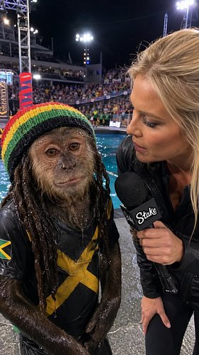 JAHMUNKEY GETS ELIMINATED💀 #jahmunkey #monkey #reels #comedy #viral