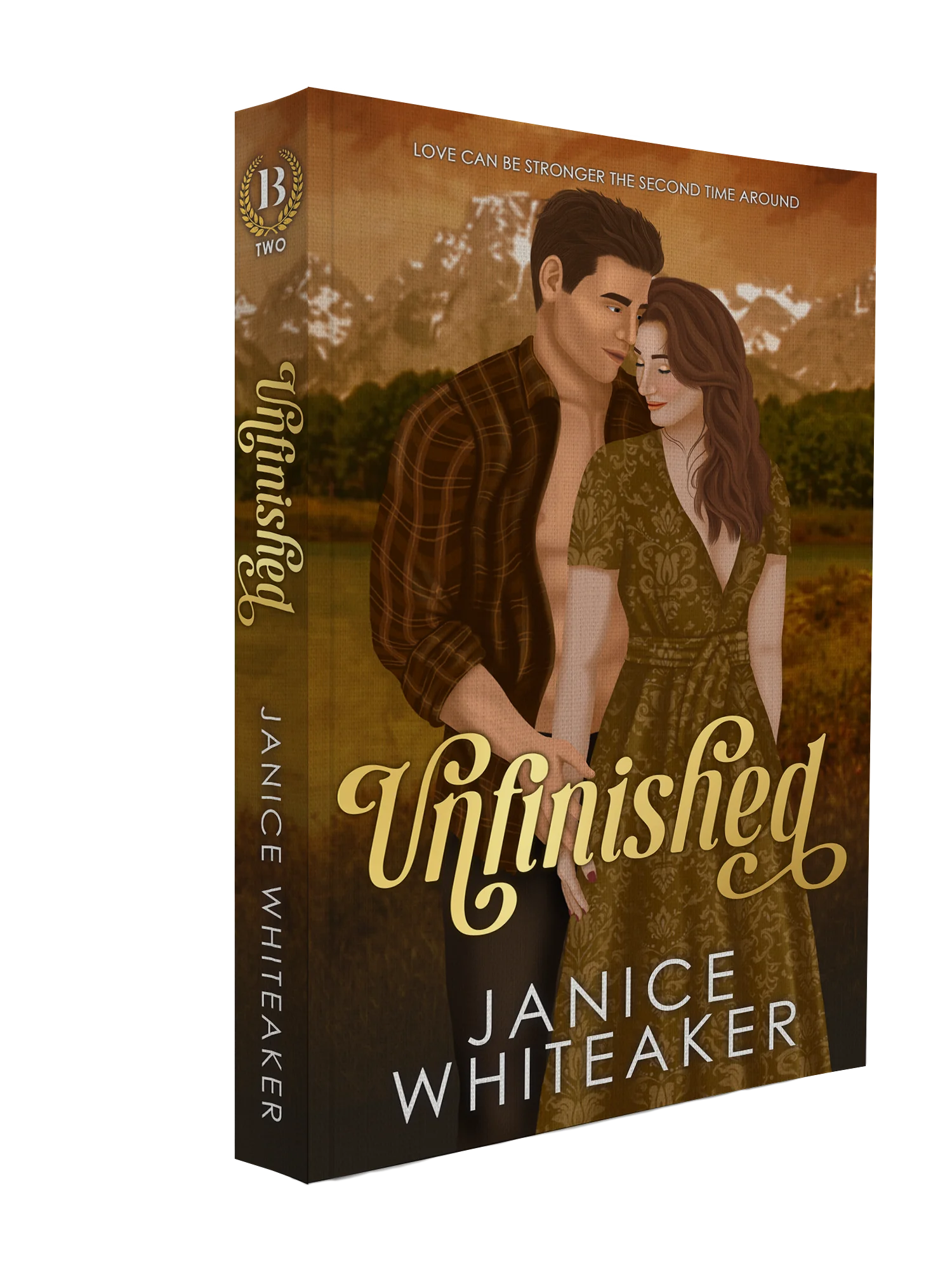 Unfinished Special Edition Paperback product image (1)