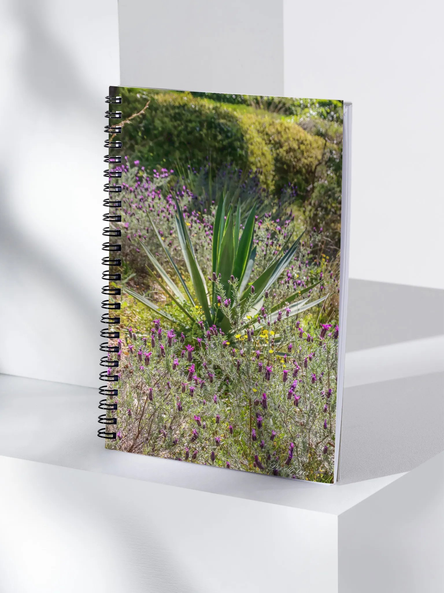 📓 Notebook Collection PURE – Jardin du Rayol – Lavande & Agave product image (4)
