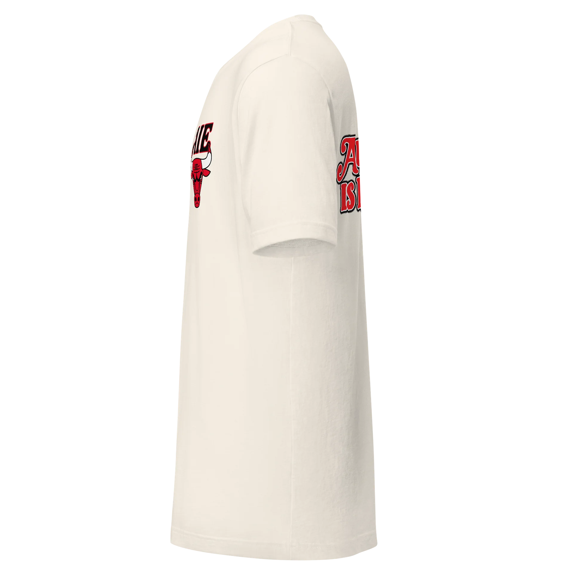 Authenticity Bulls Logo tshirt product image (3)