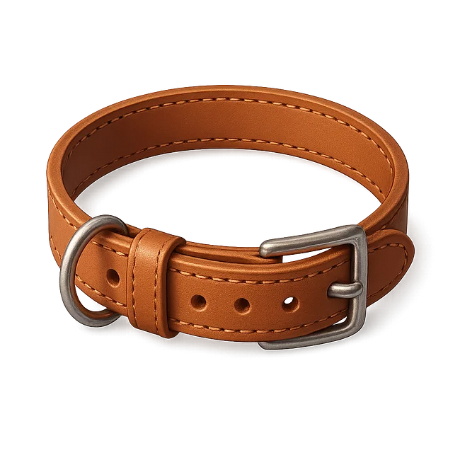 Pet Accessories