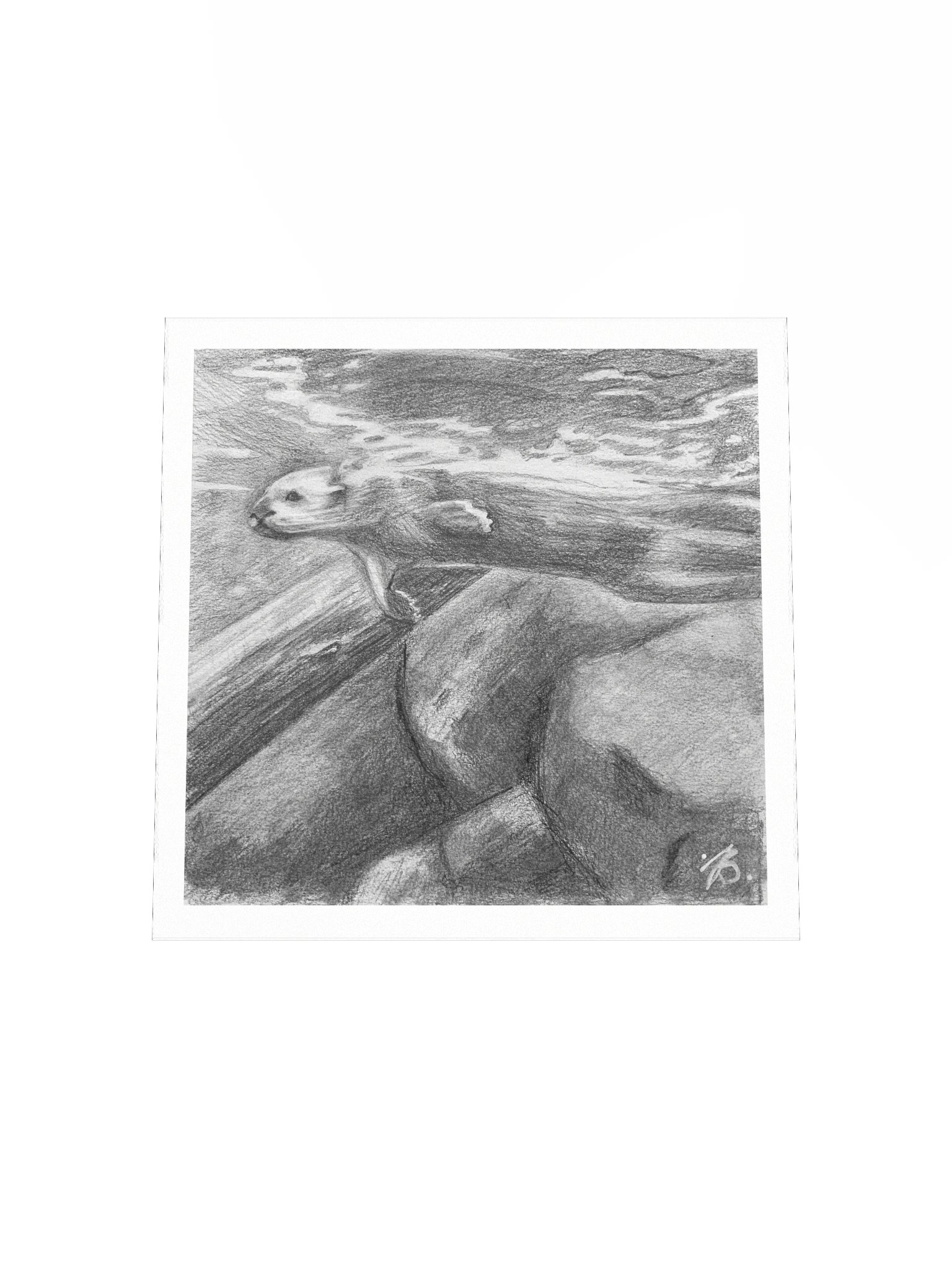 Otter Swimming — Premium Matte Poster product image (7)