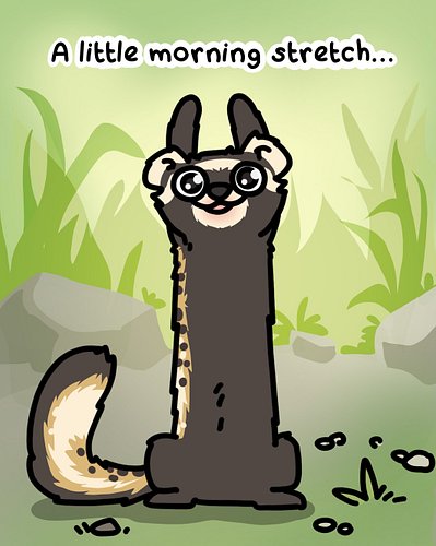 #FunFact: Most mustelids have extremely flexible spines and short limbs, allowing explosive bursts of LETHAL power. This is w...