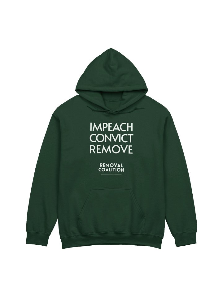 Impeach Convict Remove Hoodie - Colors product image (5)