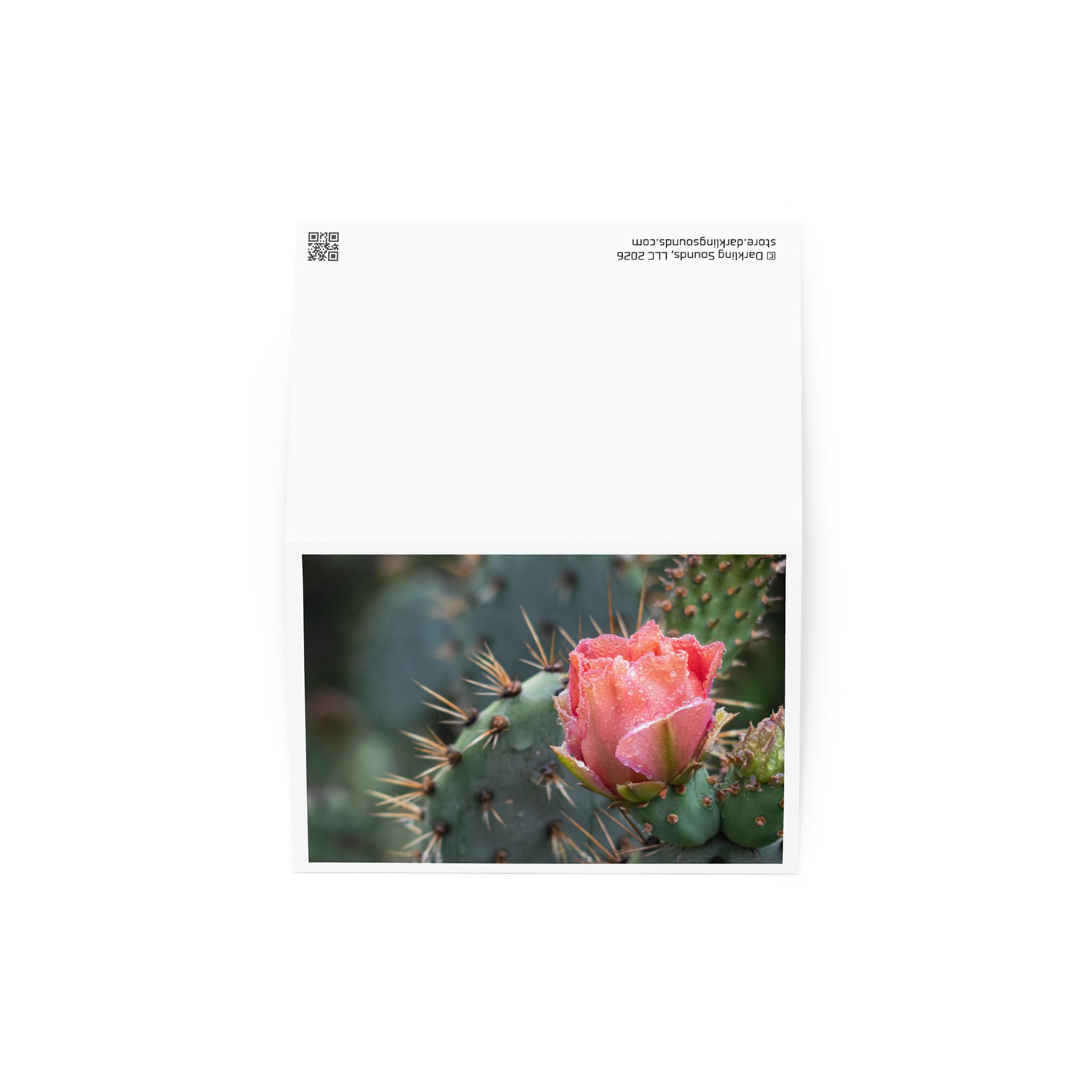 Flowering Cactus - Greeting Card product image (2)