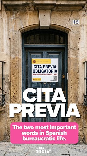Without a cita previa (prior appointment), many government offices, health centres, and official services will simply not see...
