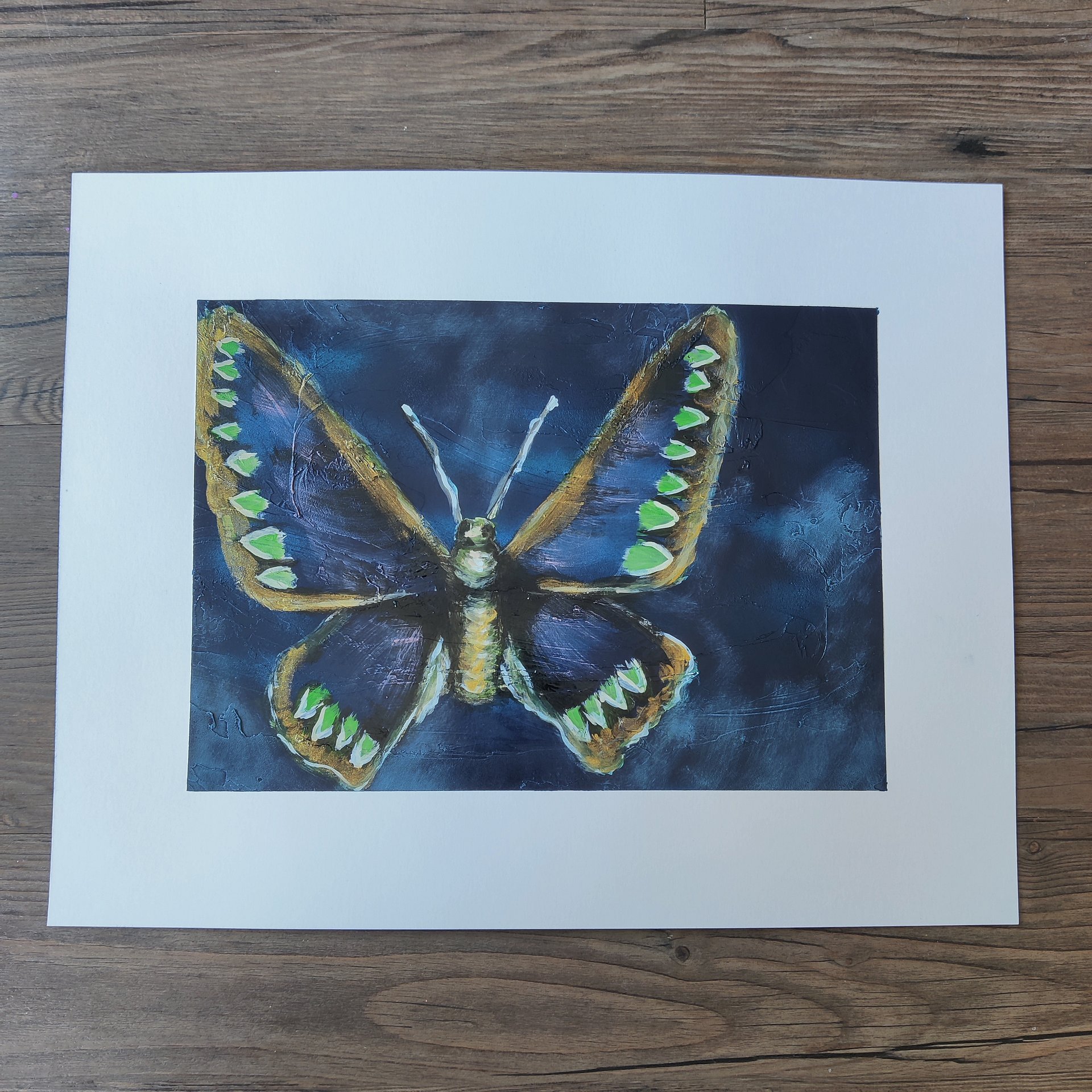Moth Collection product image (12)