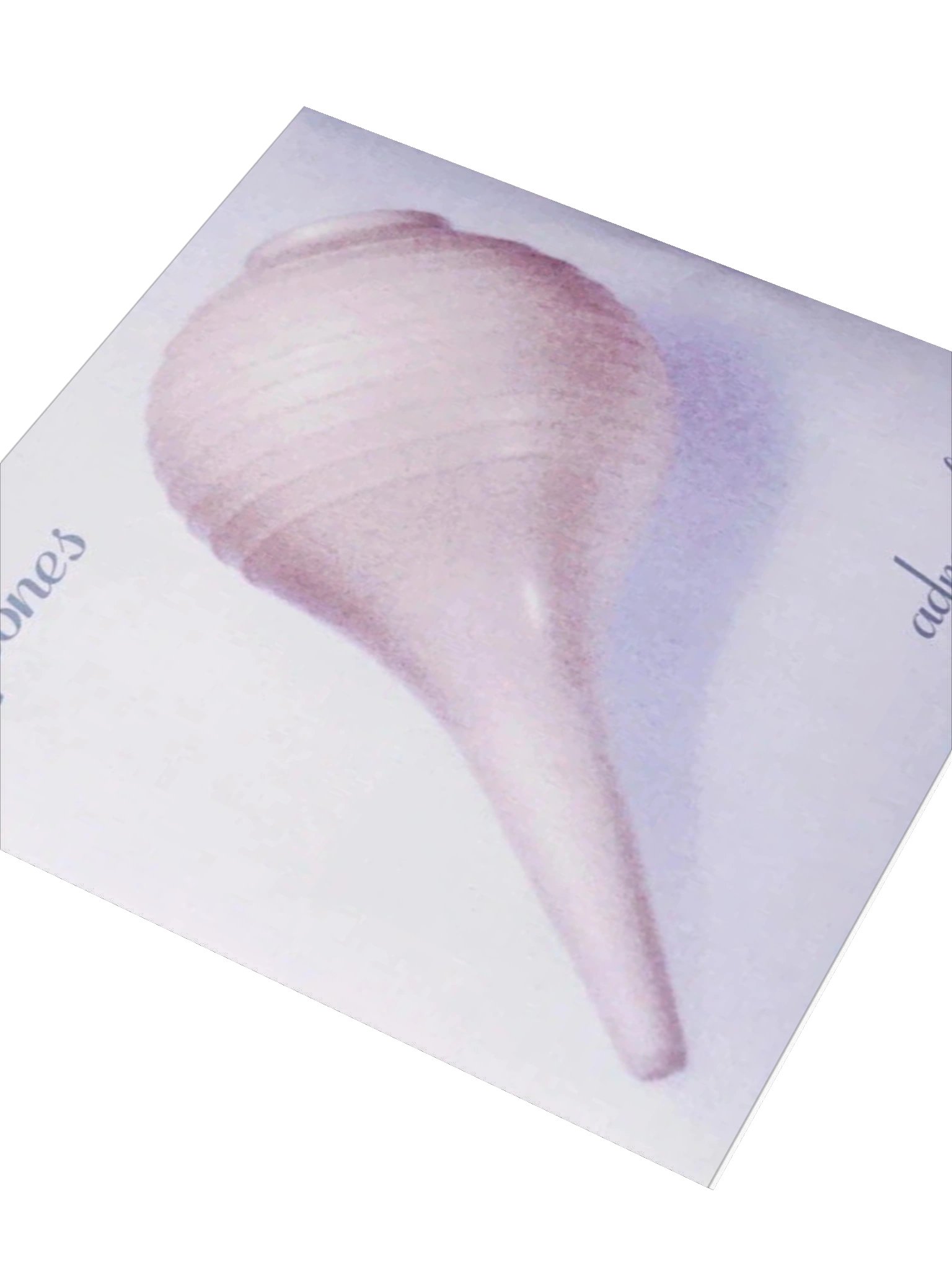 Adrenaline - Sticker product image (3)