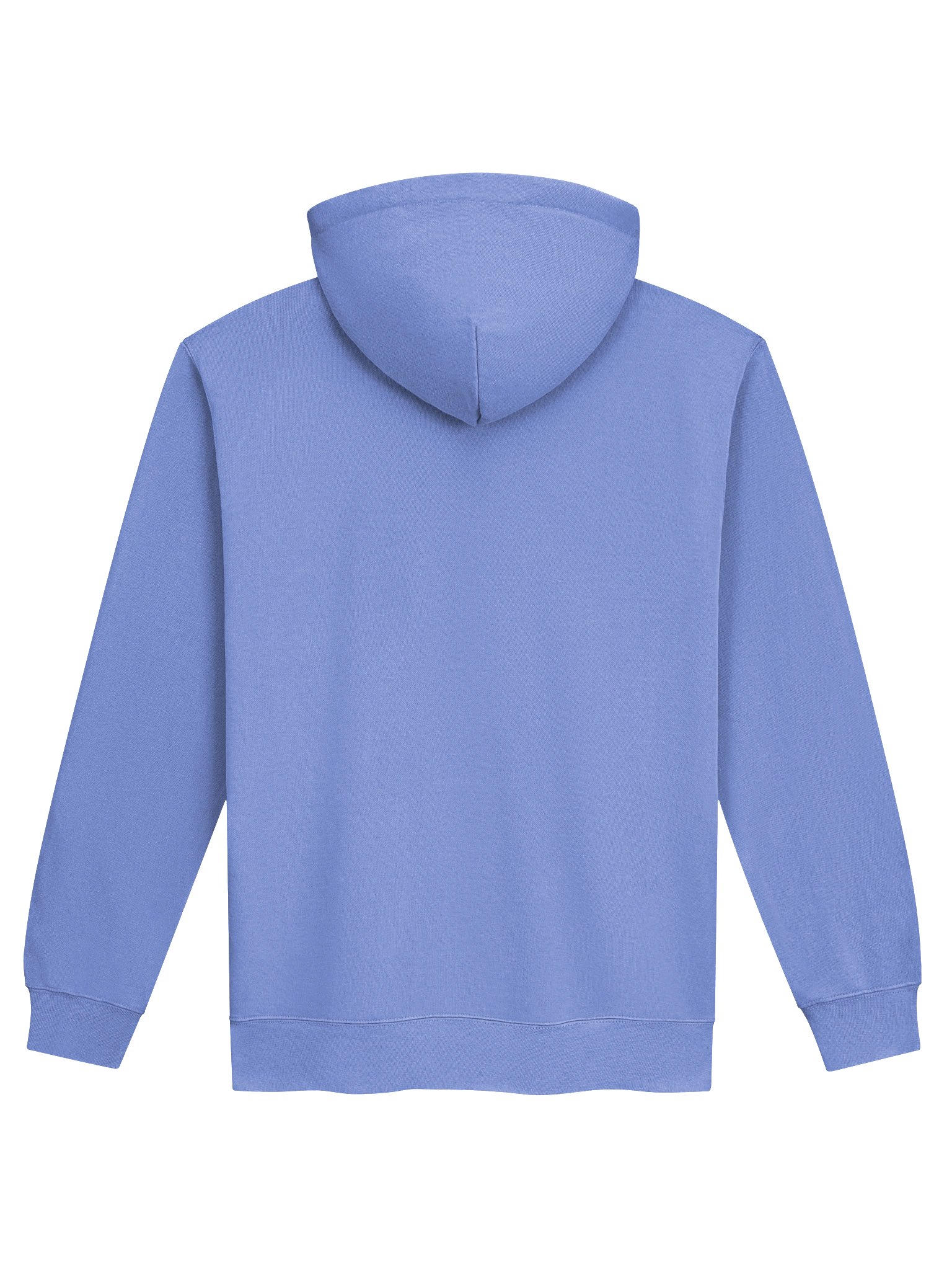 Icon Hoodie - Flo Blue product image (2)