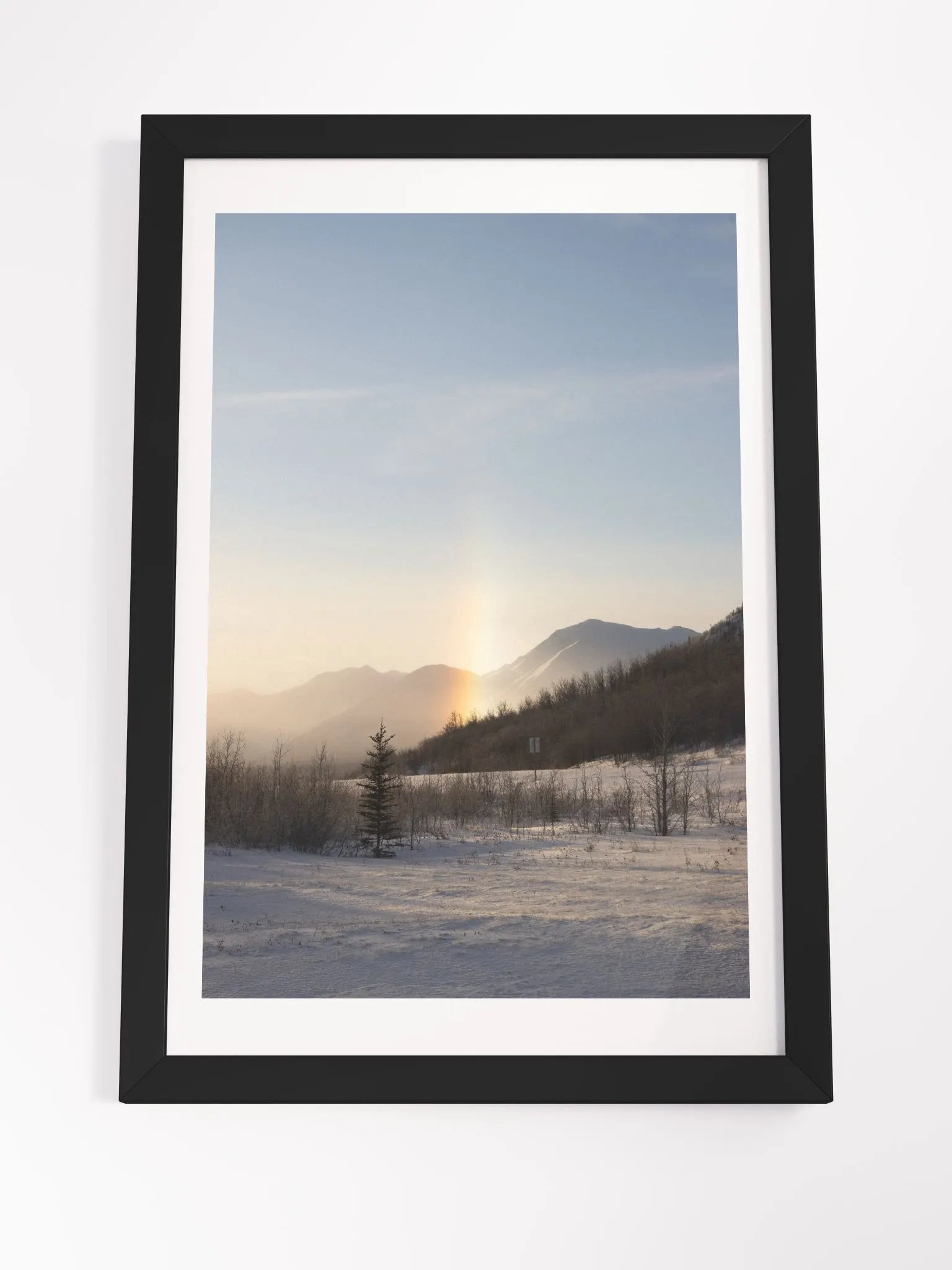 Curious Phenomenon product image (4)
