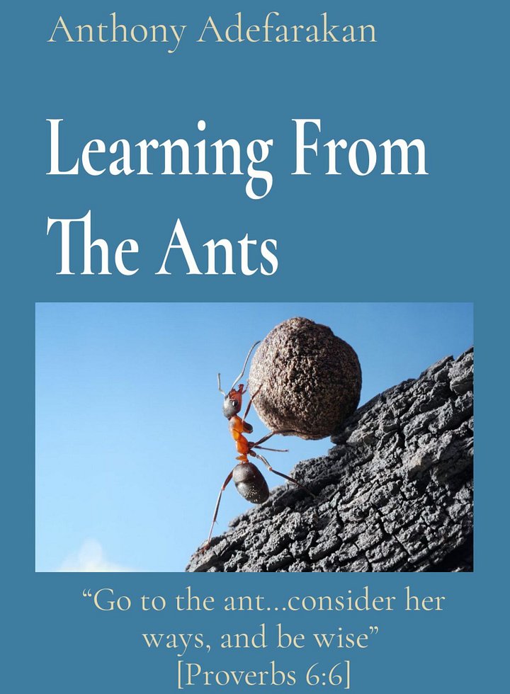 Learning From The Ants _ Ebook product image (1)