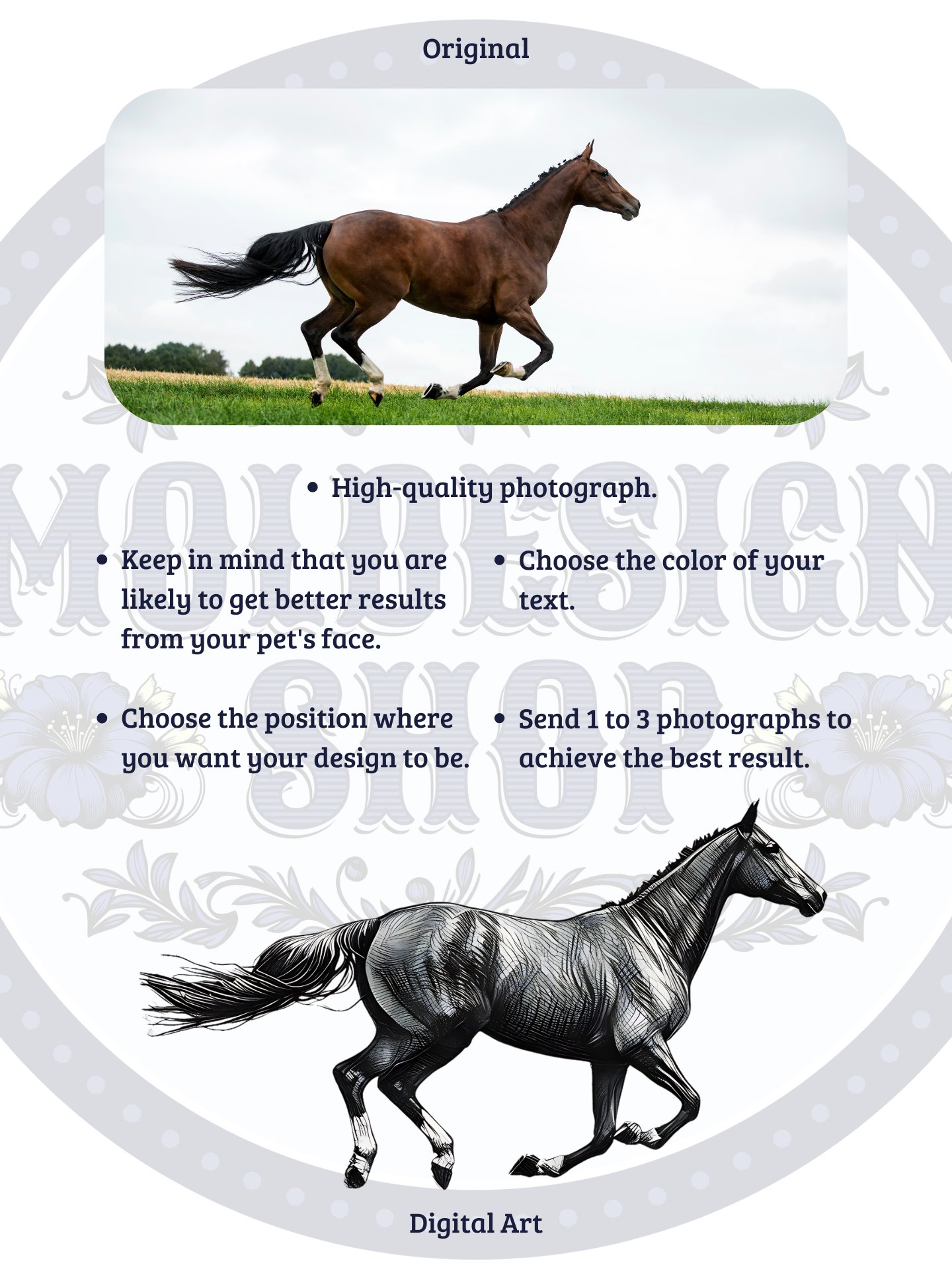 YOUR HORSE! / T-SHIRT WITH PERSONALIZED NAME product image (4)