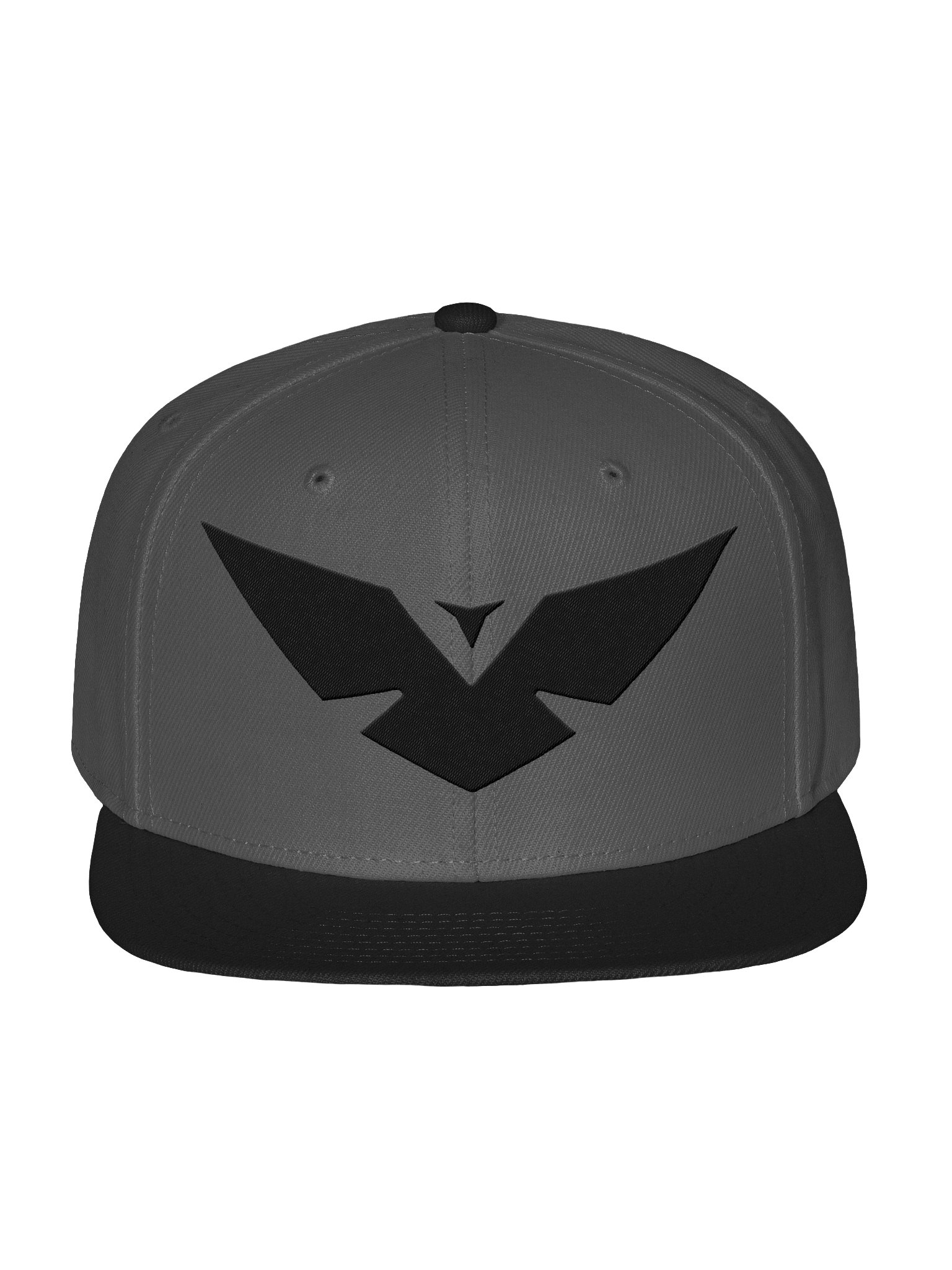 Black Logo Snapback product image (2)