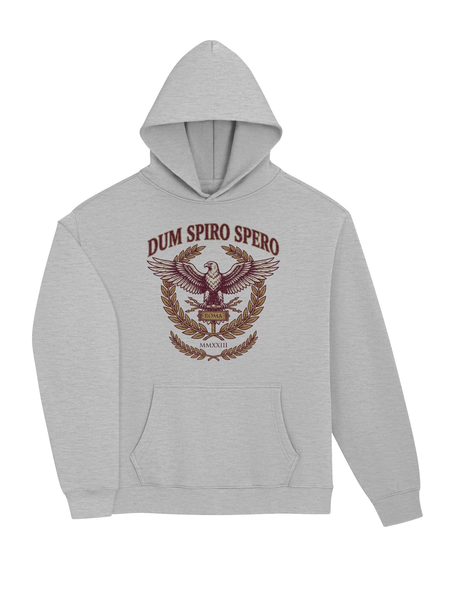 Dum Spiro Spero Hoodie - Roman History Gift for Men product image (5)