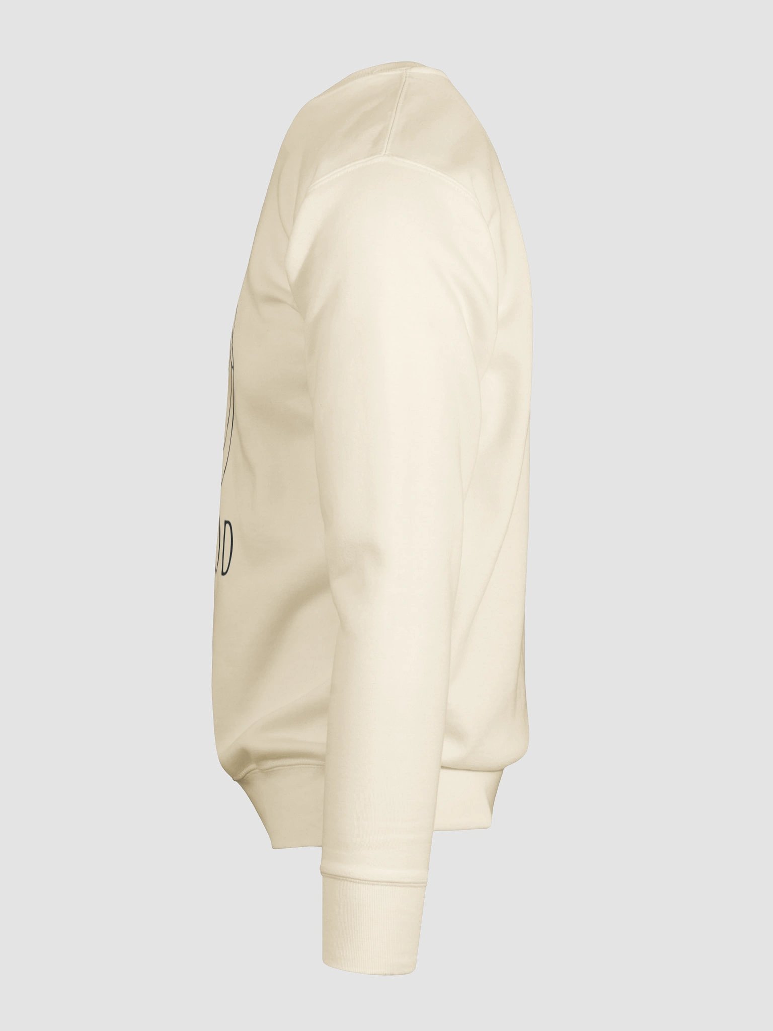 Flood Logo Sweatshirt (premium cotton) product image (27)