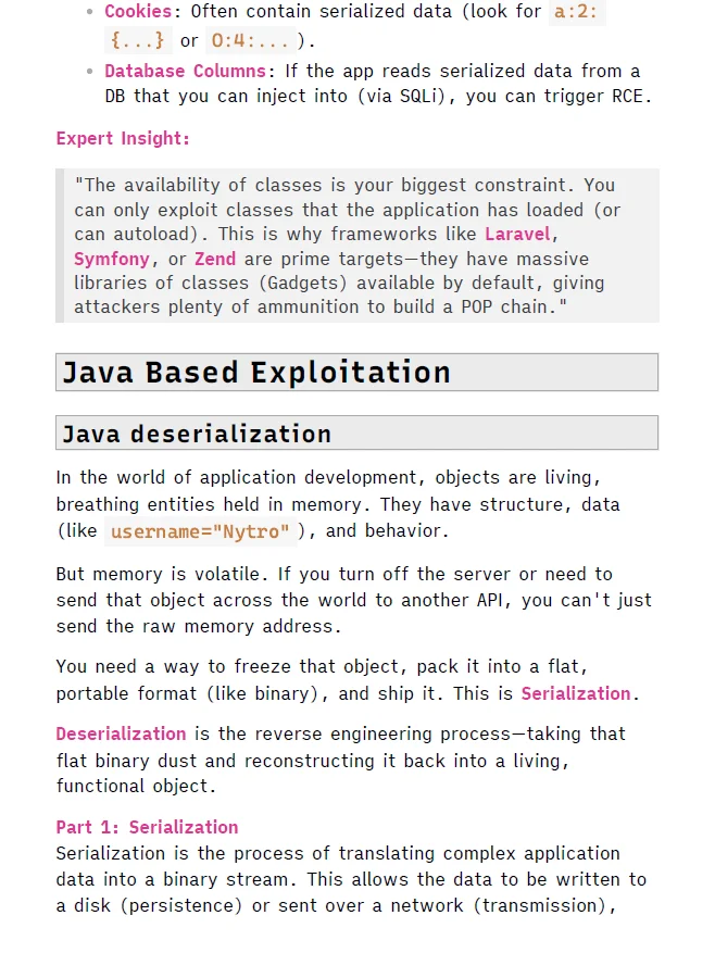 Offensive Security Web Expert (OSWE) Study Notes (Unofficial) and Burp Suite Guide product image (5)