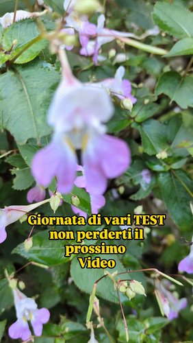 Interessante giornata ricca di prove e test, i risultati nei prossimi video su YouTube 🤠#oro #avventura #cercatoredoro #test