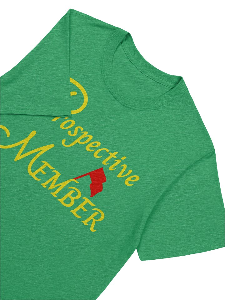 PROSPECTIVE MEMBER - Novel Tee product image (2)