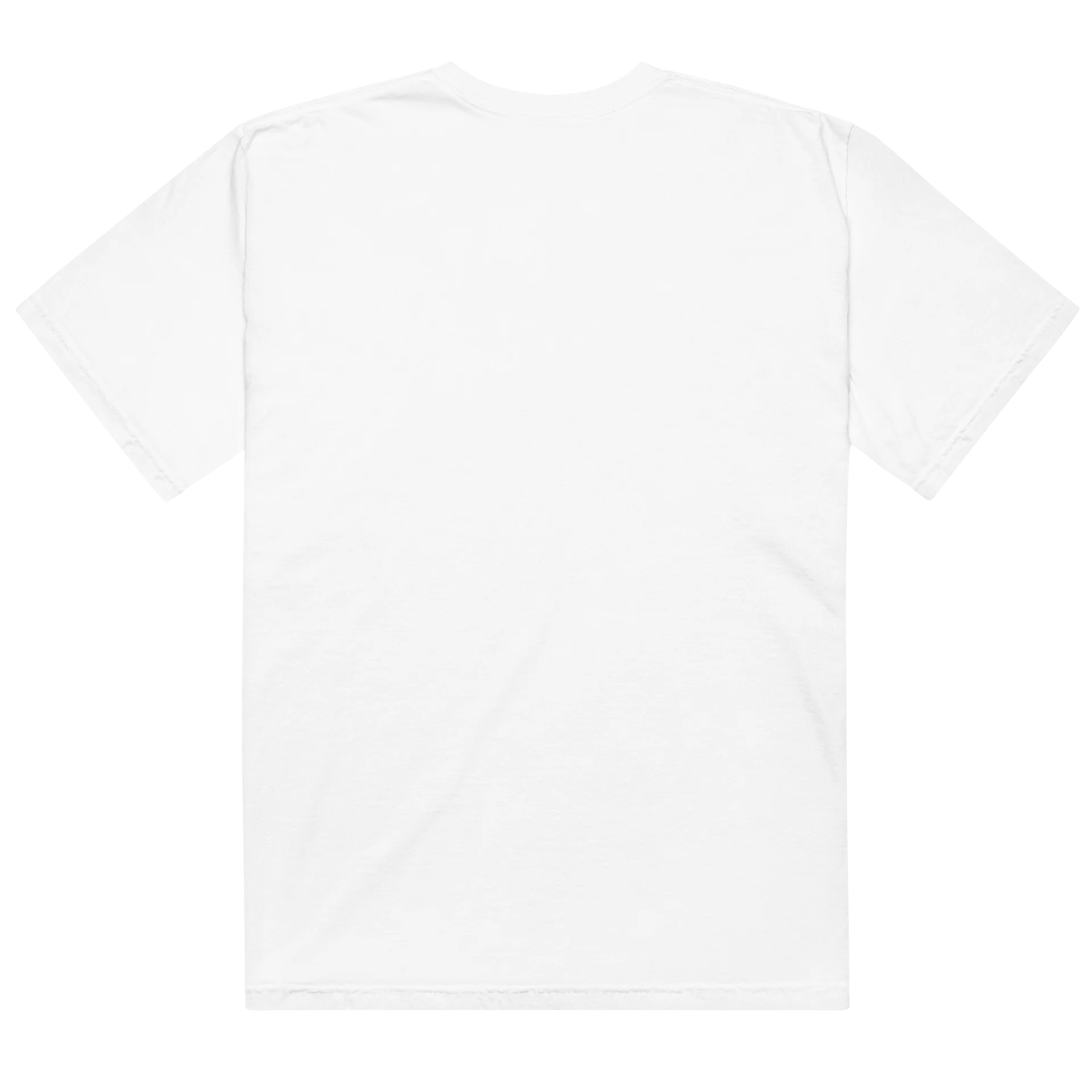 Sprout Comfy Tee product image (4)