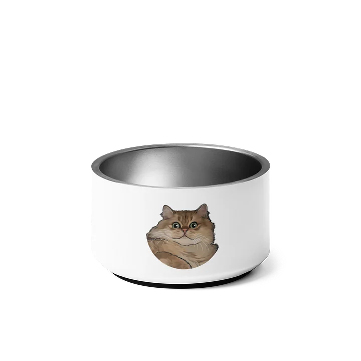 Chris Pet Bowl product image (1)