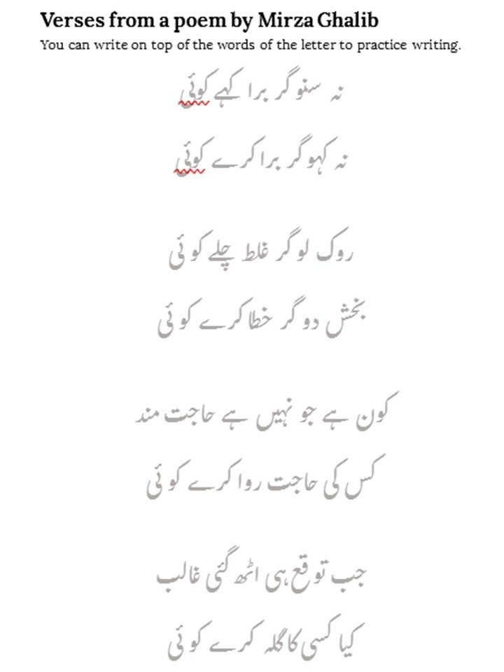 Writing Worksheets - Urdu Words and Sentences product image (5)