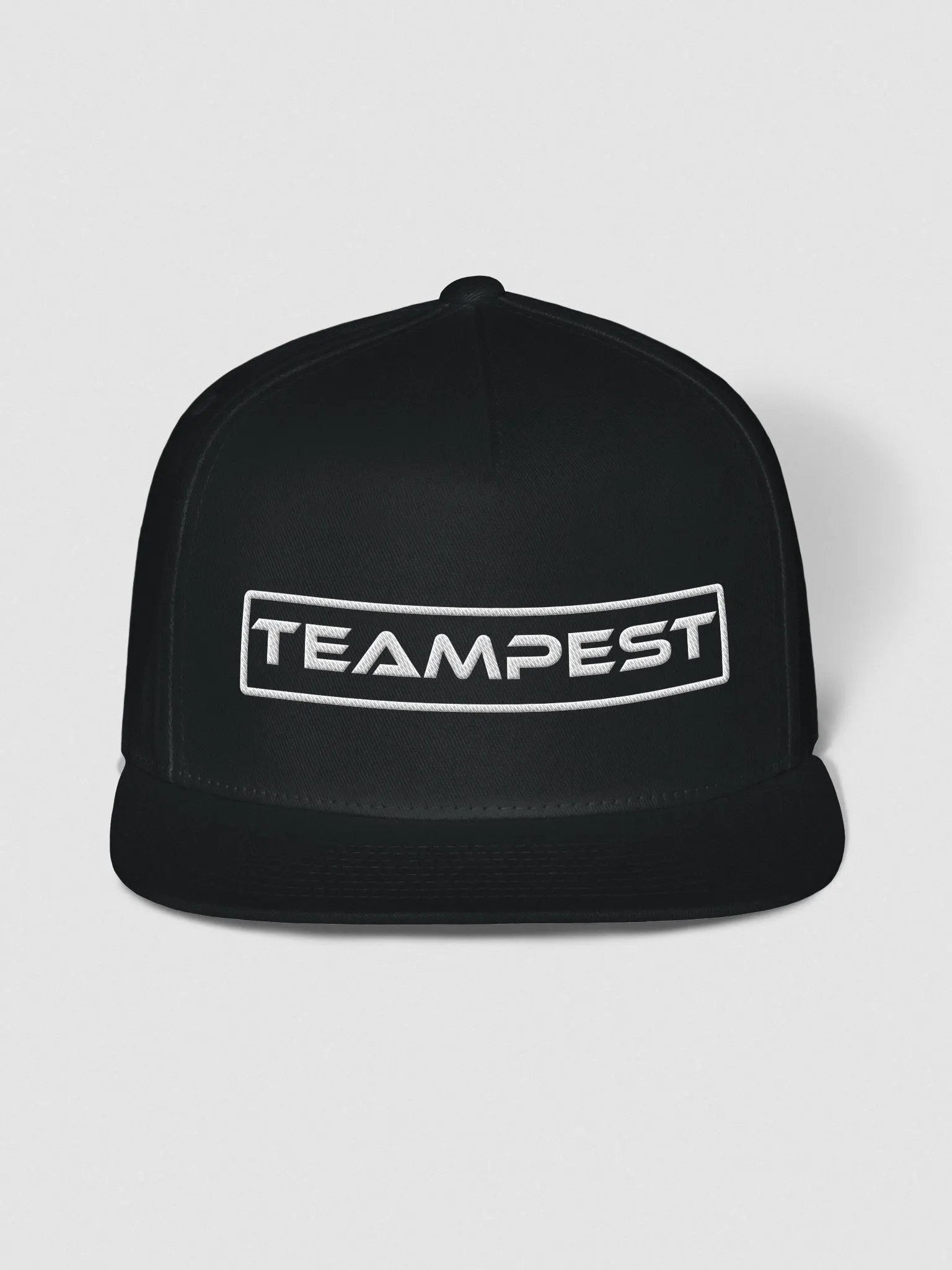 TeamPEST Black Snapback Cap product image (1)