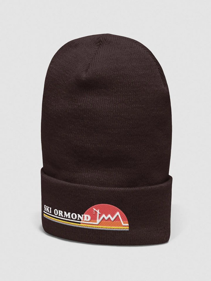 Ski Ormond Beanie product image (10)