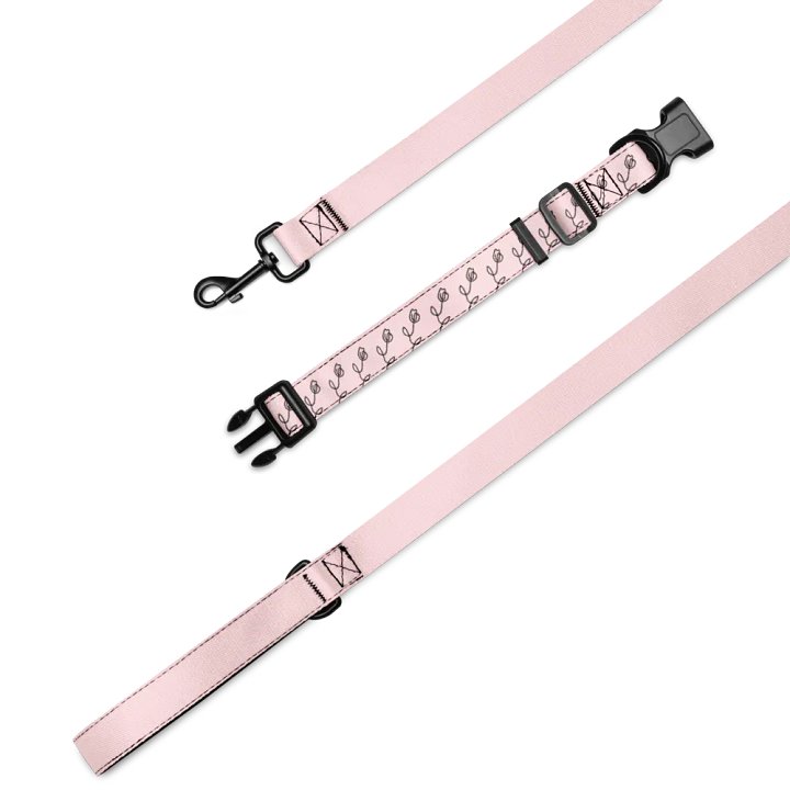Gradient Gray Pet Collar & Leash Set product image (1)
