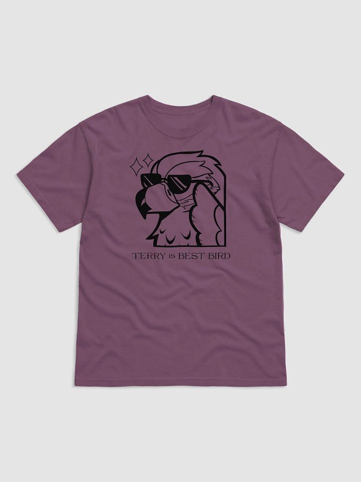 Terry is Best Bird T-Shirt product image (9)