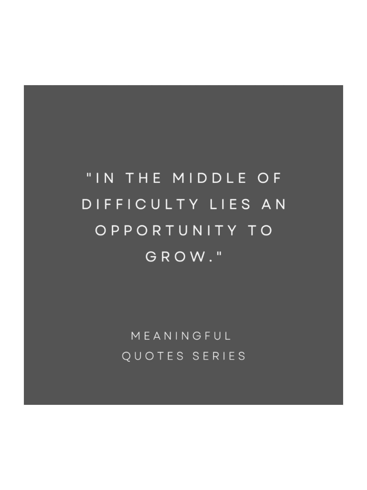 Lies An Growth & Opportunity product image (1)