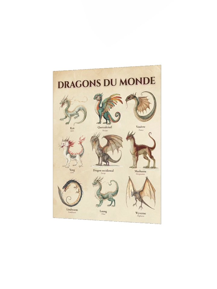 Poster Dragons du Monde product image (4)