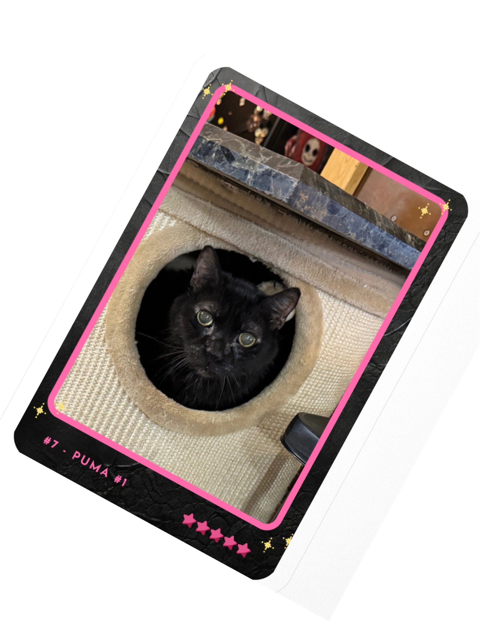 Channel Card 7 - Puma #1 product image (2)