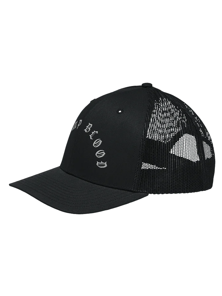 SWAMP BLOOD TRUCKER HAT product image (10)