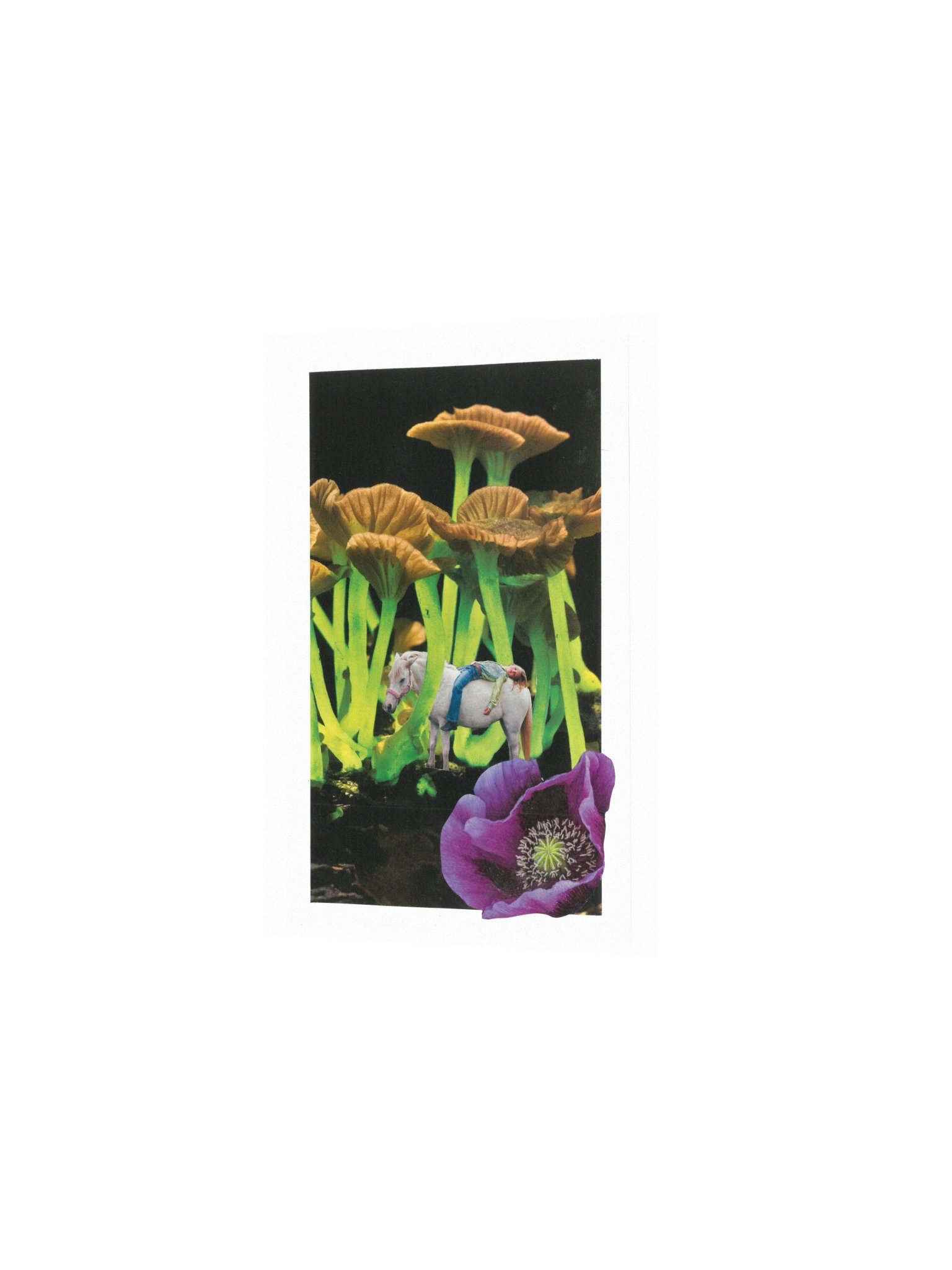 Lysergic Bliss product image (6)