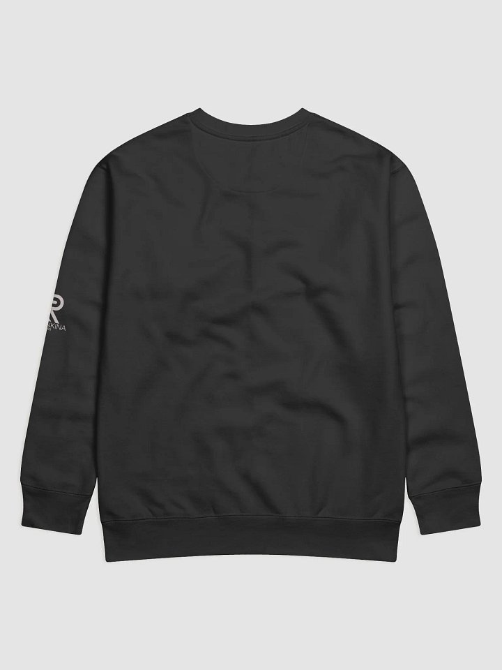 SHINE BRIGHT SWEATSHIRT product image (2)