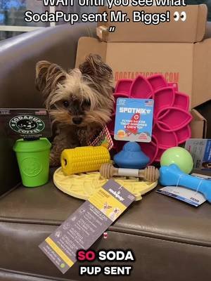 🐾📦 BIG NEWS FROM MR. BIGGS!!! 🎉❤️ We are SO excited to reveal the AMAZING goodies that SodaPup sent us!!! 😍🐶 From adorable toys to enrichment essentials, they absolutely SPOILED us! And what better way to celebrate than by sharing the love?! 🥹💕 Today we’re packing a very special Biggy Box for sweet Lily, and she’s getting TWO amazing SodaPup surprises tucked inside! 🎁🐾 This is exactly what we dreamed of when we started Biggy Boxes — bringing together amazing brands and creating special surprises for dogs everywhere! ❤️ A HUGE thank you to @SodaPup for your generosity and for helping us make tails wag, one Biggy Box at a time! 🐕💕 ✨ Little Dogs Deserve Big Things! ✨ 📦 Order your very own Biggy Box and let Mr. Biggs pick something special for your pup! #fyp #dogsoftiktok #yorkiesoftiktok #dogs #dogmomlife 