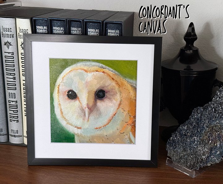 Barn Owl - Original product image (1)