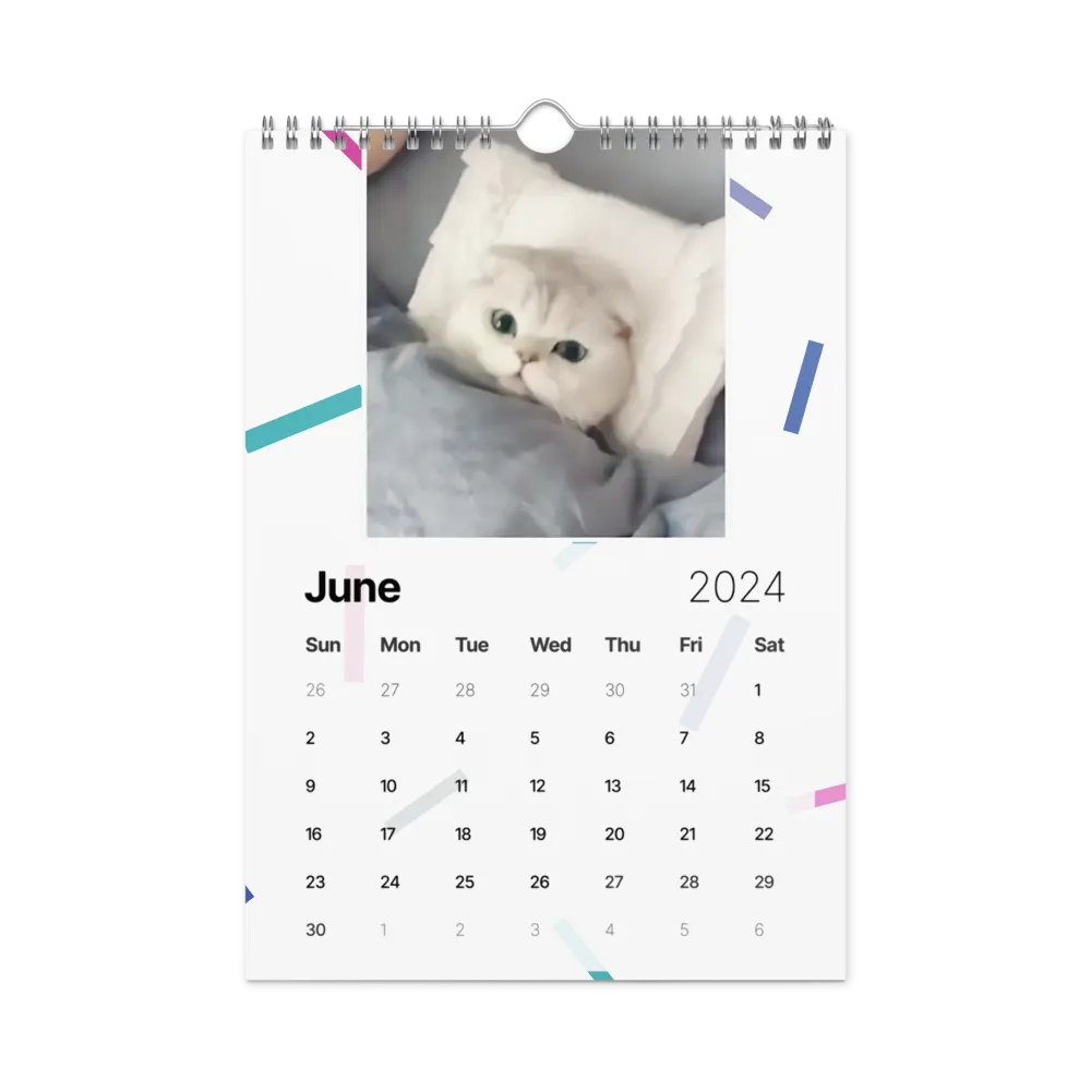 Wall Calendar (2024): Meme Cats product image (12)