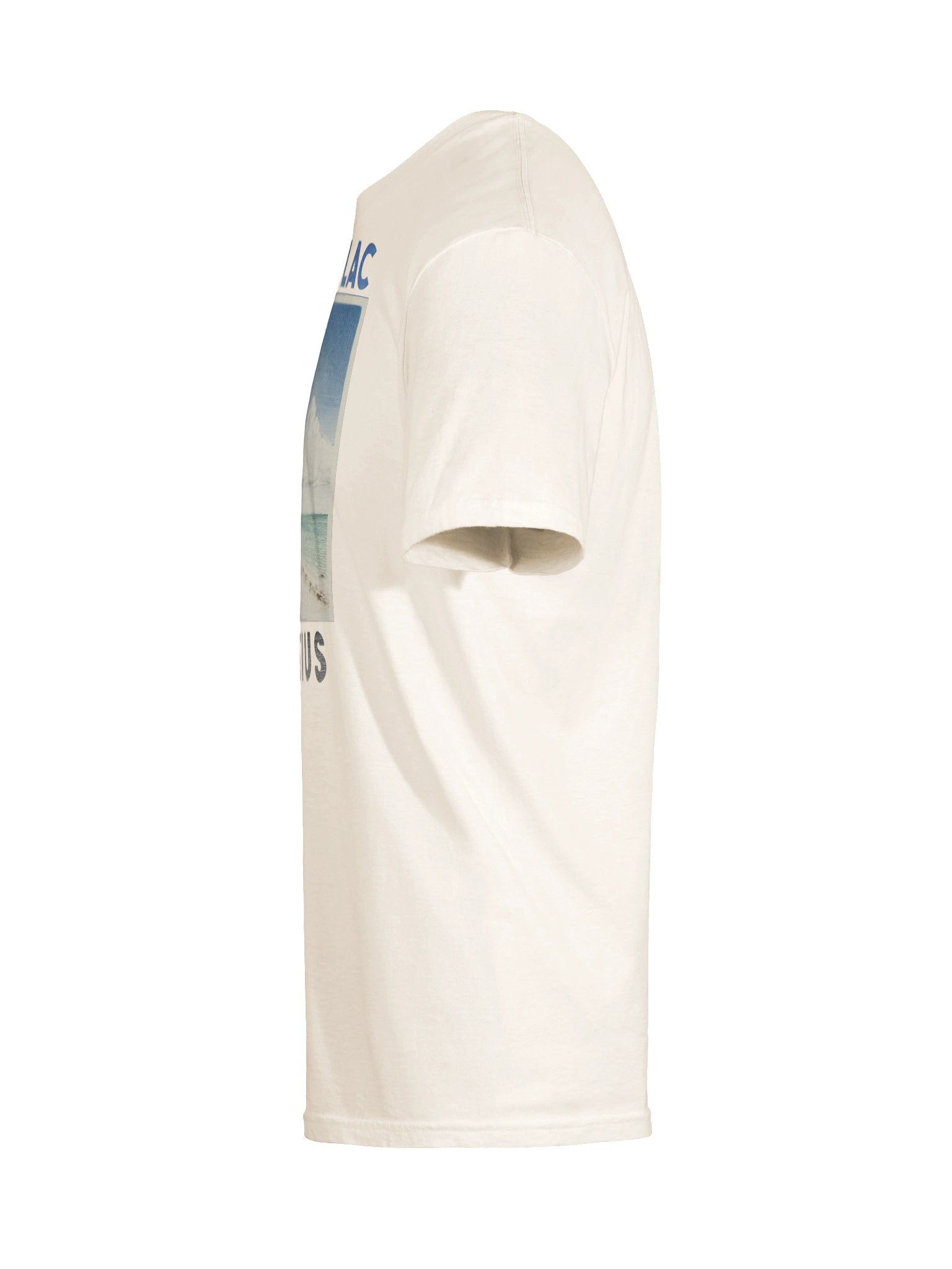 Flic en Flac beach serene_ Mauritius product image (60)