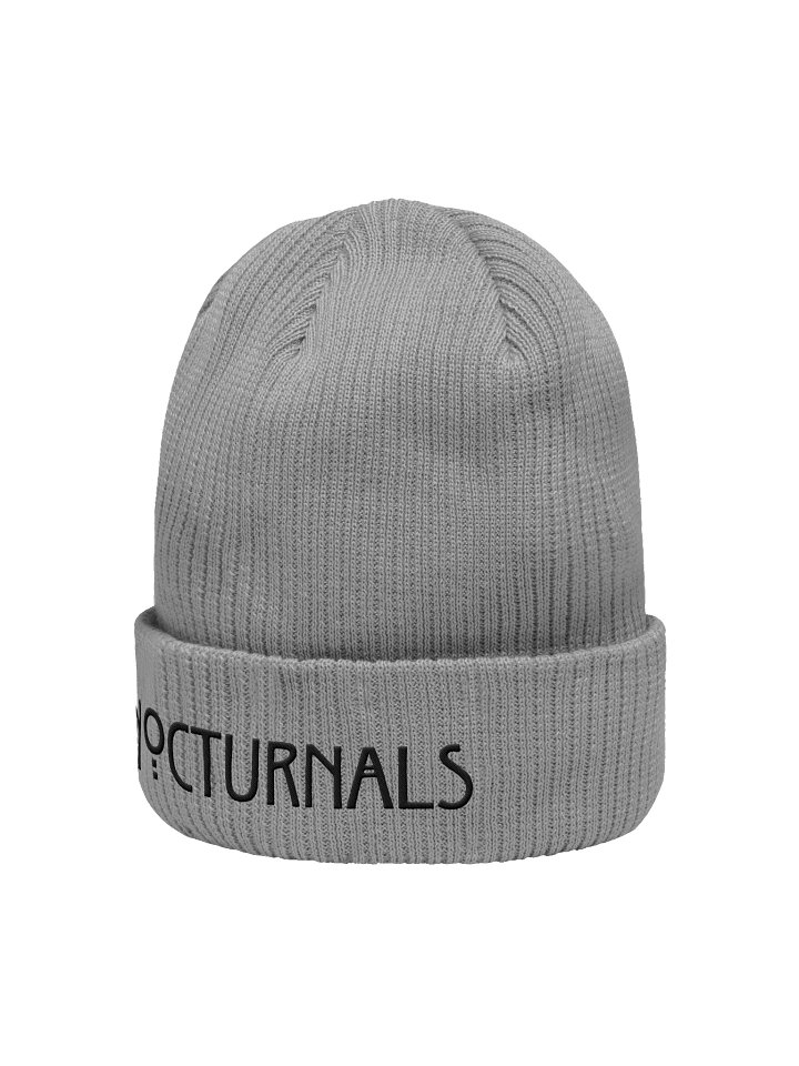 Nocturnals beanie v1 a product image (47)