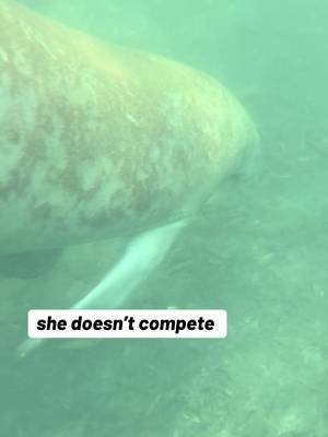 Pretty privilege looks different in Florida. 💅🌿 #springtok #floridasprings #floridalife #manatees #turtletrain 
