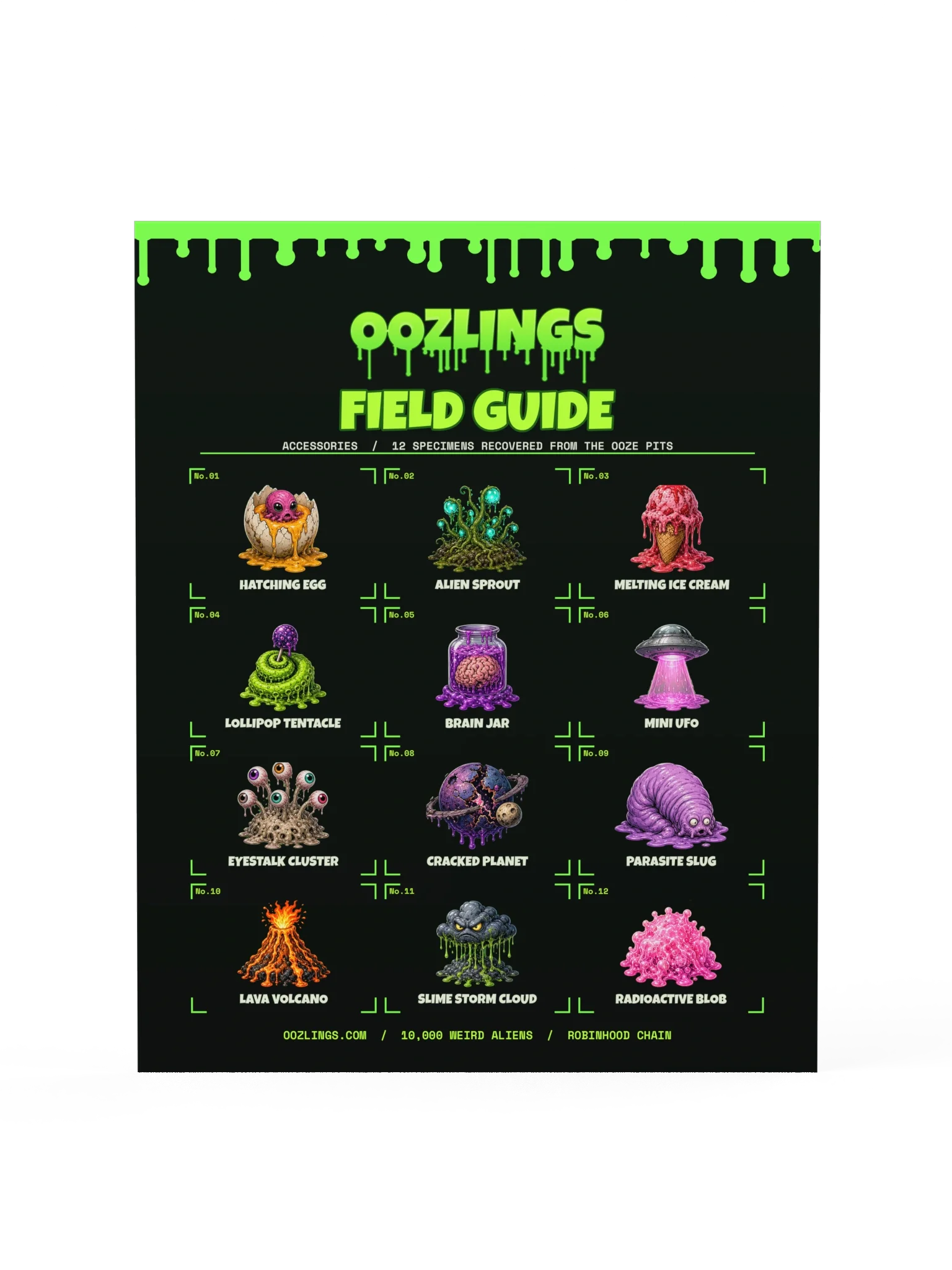 Oozlings Accessory Field Guide Poster