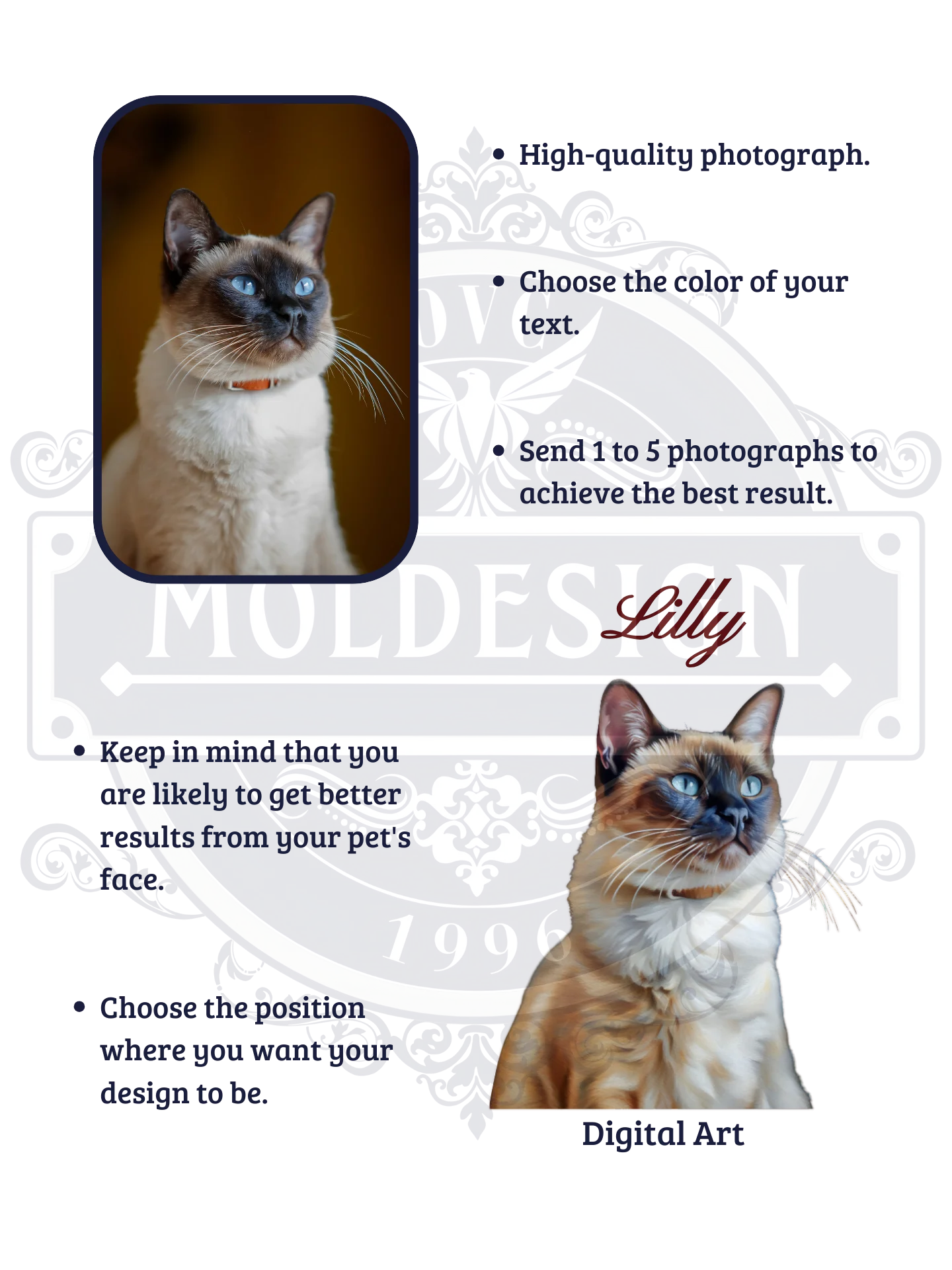 YOUR SIAMESE! / BICOLOR MUG WITH PERSONALIZED NAME / DIGITAL ART product image (7)