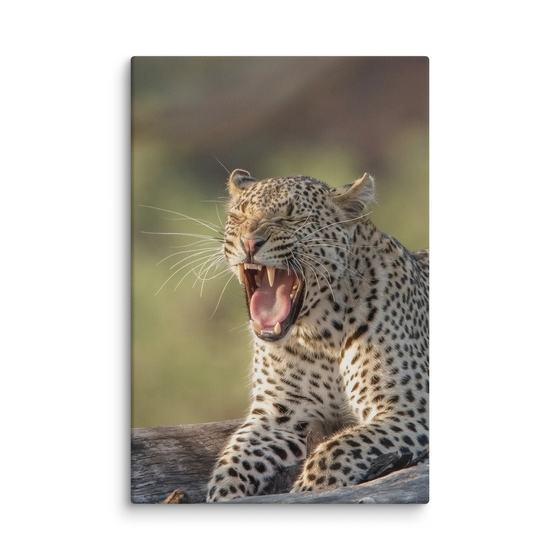 The Yawn product image (1)