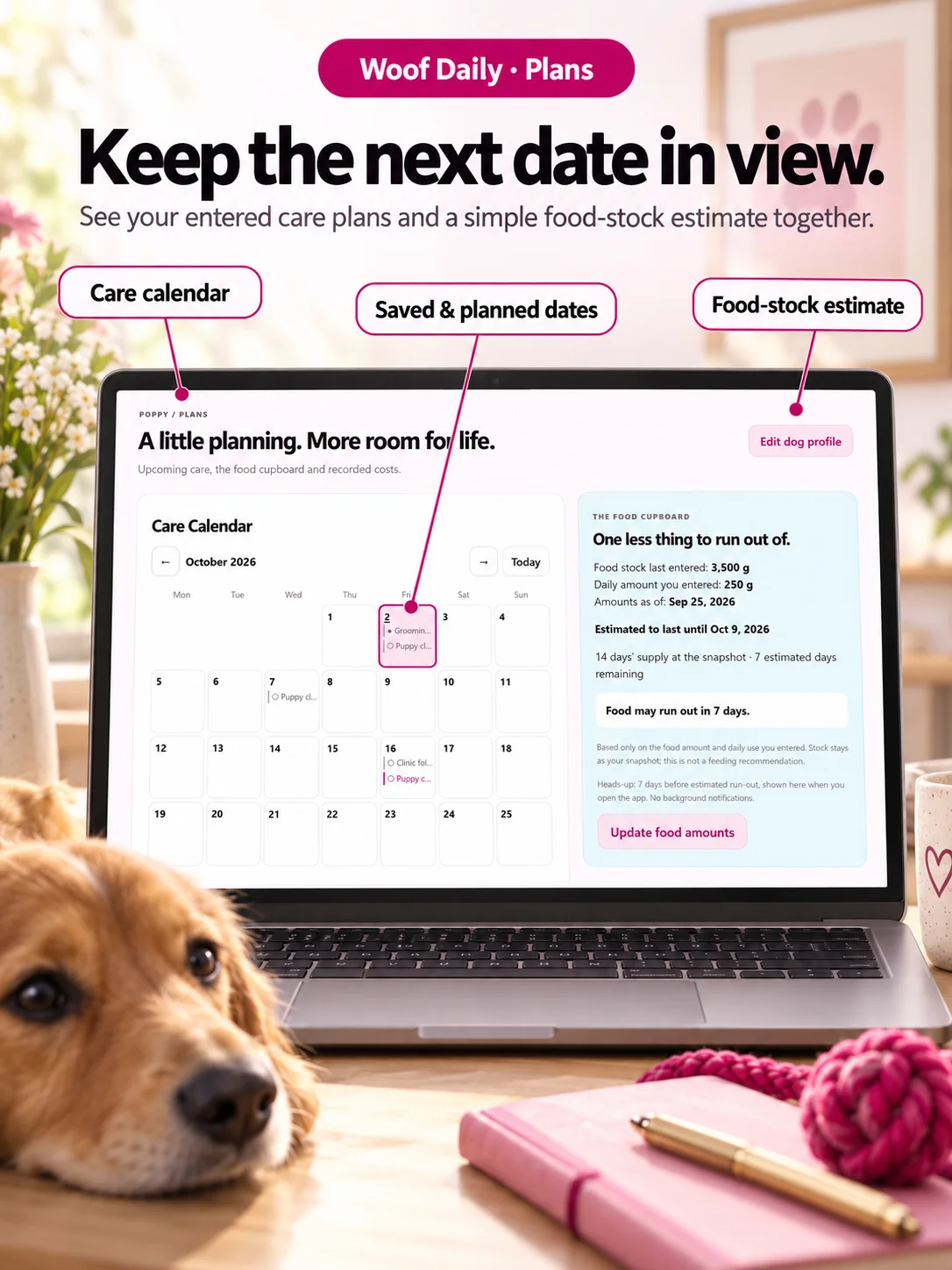 Woof Life: Dog-Care Journal + Activity Planner product image (7)