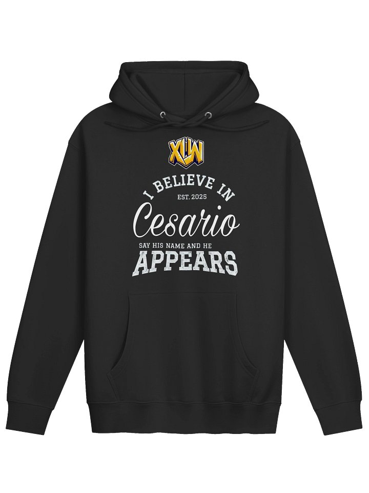 I believe in cesario hoody product image (3)